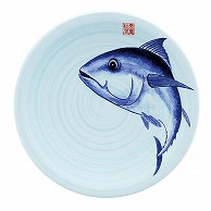 福井クラフト 耐熱φ150寿司皿　青磁　日本海 マグロ 13000047 1個（ご注文単位1個）【直送品】