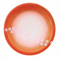 福井クラフト 耐熱φ150寿司皿 橙ぼかし流水桜 13000099 1個（ご注文単位1個）【直送品】