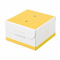 和気 デコ箱　カラフル　HP130 6号 2－126－62 100枚/箱（ご注文単位1箱）【直送品】