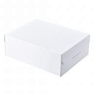 和気 デコ箱　グランドデコ 小 2－103－60 10枚/箱（ご注文単位1箱）【直送品】