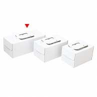 和気 ノエルケーキ箱　手提ノエルホワイト 大 2－600－25 100枚/箱（ご注文単位1箱）【直送品】