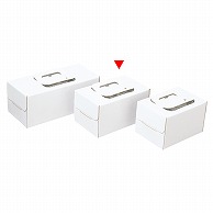和気 ノエルケーキ箱　手提ノエルホワイト 小 2－500－25 100枚/箱（ご注文単位1箱）【直送品】