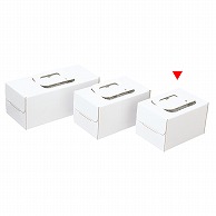 【直送品】 和気 ノエルケーキ箱　手提ノエルホワイト 特小 2－500－19 100枚/箱（ご注文単位1箱）