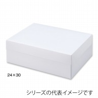 【直送品】 保冷ケース　SOB105　ホワイト 24×30 21537 25枚/束（ご注文単位4束）