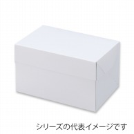 【直送品】 テイクアウトボックス　ホワイト　105 15×21 21113 25枚/束（ご注文単位8束）