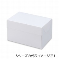 【直送品】 テイクアウトボックス　ホワイト　105 24×30 21116 25枚/束（ご注文単位4束）