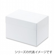 【直送品】 スライドオープンボックス　125　ホワイト 18×24 21364 25枚/束（ご注文単位4束）