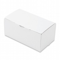>【直送品】 スマートボックス・ホワイト 6　Gハイテスト 20832 100枚/箱（ご注文単位1箱）