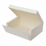 【直送品】 テイクアウトボックス　PC－color ホワイト　6号 1－110－66　50枚/包（ご注文単位2包）