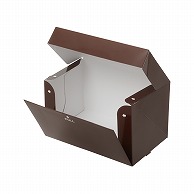 テイクアウトボックス　PC－color ココア　2号 1－110－02　50枚/包（ご注文単位6包）【直送品】