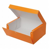 テイクアウトボックス　PC－color オレンジ　5号 1－110－15　50枚/包（ご注文単位2包）【直送品】