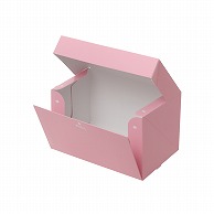 【直送品】 テイクアウトボックス　PC－color ピーチ　2号 1－110－22　50枚/包（ご注文単位6包）