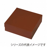 テイクアウトボックス　PC－カラー　65 ココア　4号 1－032－20　50枚/包（ご注文単位4包）【直送品】