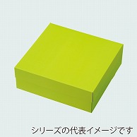 【直送品】 テイクアウトボックス　PC－カラー　65 マスカット　4号 1－032－32　50枚/包（ご注文単位4包）
