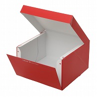 【直送品】 PCデコ箱　ルージュ 66号 2－600－95　100枚/袋（ご注文単位1袋）