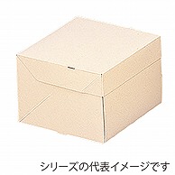 >【直送品】 PCエコポケット付デコ箱 44号 1－004－81　200枚/袋（ご注文単位1袋）