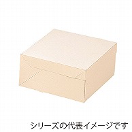 【直送品】 PCエコポケット付デコ箱 66号 1－004－83　100枚/袋（ご注文単位1袋）