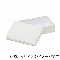 洋菓子箱　ベーシックフェザーギフトケース　L 　ホワイト 1254　1個（ご注文単位30個）【直送品】