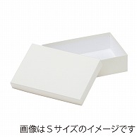 【直送品】 洋菓子箱　ベーシックフェザーギフトケース　LL　ホワイト 1250　1個（ご注文単位20個）