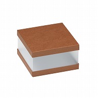 洋菓子箱　正方形サイドクリアギフトケース うす茶 1751　1個（ご注文単位50個）【直送品】