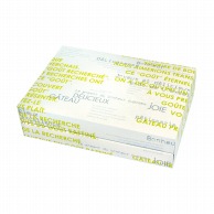 【直送品】 ヤマニパッケージ 洋菓子箱　ギフトBOX　メランジェ 中　グリーン 20－466GR 100セット/箱（ご注文単位1箱）