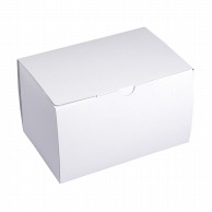 ヤマニパッケージ 洋菓子箱　サービス組立110　保冷剤収納フラップ付 ＃5 20－511 400枚/箱（ご注文単位1箱）【直送品】