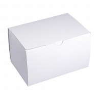 ヤマニパッケージ 洋菓子箱　サービス組立110　保冷剤収納フラップ付 ＃6 20－512 400枚/箱（ご注文単位1箱）【直送品】