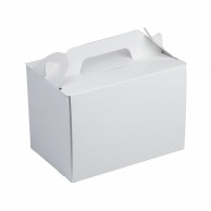 HEIKO 箱 ネオクラフト キャリーボックス M ケーキ4～5個用 20枚