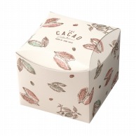 【直送品】 ヤマニパッケージ 洋菓子箱　CACAO キュービクル 20－2229 100枚/箱（ご注文単位1箱）