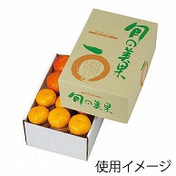 ギフト箱　旬の美果 5kg L－341 10枚/束（ご注文単位4束）【直送品】