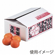 ギフト箱　新鮮みかん 5kg L－426 10枚/束（ご注文単位6束）【直送品】