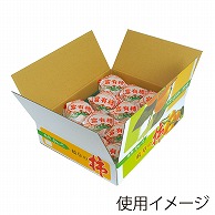 贈答用送り箱　カラー富有柿ケース 一段　小 LY－9004 10枚/束（ご注文単位1束）【直送品】