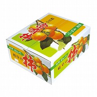 贈答用送り箱　カラー富有柿ケース 二段　大 LY－9005 10枚/束（ご注文単位1束）【直送品】