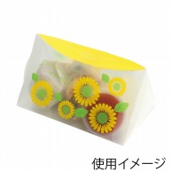 フォーション ひまわりBOX　RCパリジャン   50個/箱（ご注文単位1箱）【直送品】