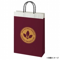 【オリジナル印刷】スムースB2才　片艶・晒120G ベタ印刷あり2色印刷　3000枚 オプション　PP紐カラー替え 3000枚