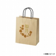 【オリジナル印刷】スムースB22－12　未晒100g（茶） ベタ印刷なし2色印刷　3000枚 オプション　PP紐カラー替え 3000枚