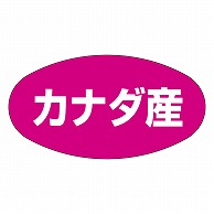 カミイソ産商 エースラベル カナダ産 K-0307 1000枚/袋（ご注文単位1袋）【直送品】