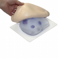 【直送品】 乳がん触診モデル　カバータイプ　BMC－03   1個（ご注文単位1個）