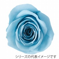 【直送品】 モノ・インターナショナル Primavera　プリザーブドフラワー 86309　ベベ ライトブルー 1箱（ご注文単位1箱）