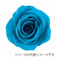 【直送品】 モノ・インターナショナル Primavera　プリザーブドフラワー 86510　ニーナ ブルー 1箱（ご注文単位1箱）