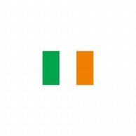 【直送品】 P・O・Pプロダクツ 世界の国旗 No．1 22807　アイルランド 1枚（ご注文単位1枚）