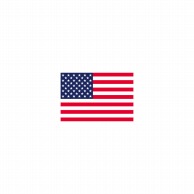 >【直送品】 P・O・Pプロダクツ 世界の国旗 L版 22818　アメリカ 1枚（ご注文単位1枚）