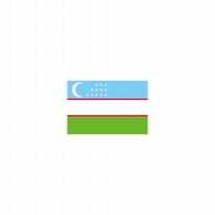 P・O・Pプロダクツ 世界の国旗 ミニフラッグ 22897　ウズベキスタン 1枚（ご注文単位1枚）【直送品】