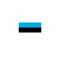 【直送品】 P・O・Pプロダクツ 世界の国旗 L版 22910　エストニア 1枚（ご注文単位1枚）