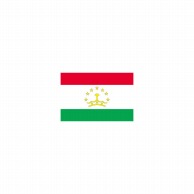 >【直送品】 P・O・Pプロダクツ 世界の国旗 L版 23194　タジキスタン 1枚（ご注文単位1枚）