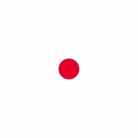 P・O・Pプロダクツ 世界の国旗 L版 23290　日本 1枚（ご注文単位1枚）【直送品】