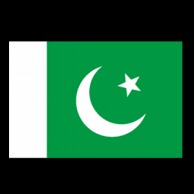 【直送品】 P・O・Pプロダクツ 世界の国旗 ミニフラッグ パキスタン No.23341 1枚（ご注文単位1枚）
