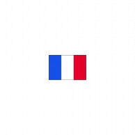 【直送品】 P・O・Pプロダクツ 世界の国旗 L版 23374　フランス・トリコロール 1枚（ご注文単位1枚）