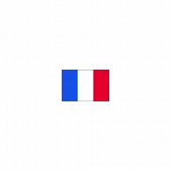 【直送品】 P・O・Pプロダクツ 世界の国旗 No．2 23376　フランス・トリコロール 1枚（ご注文単位1枚）