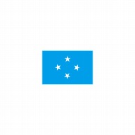 P・O・Pプロダクツ 世界の国旗 L版 23490　ミクロネシア 1枚（ご注文単位1枚）【直送品】